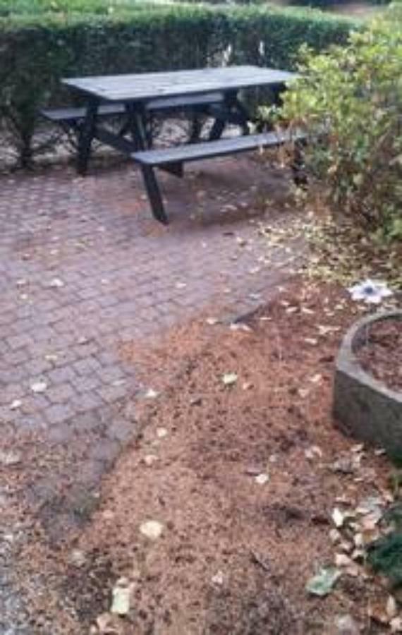 Appartement De Groote Peel Nederweert Exterior foto